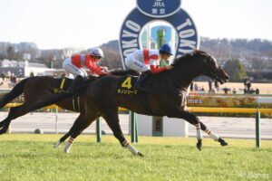 【目黒記念・能力分析】実績×適性×騎手を点数化！阪神大賞典で3着に入ったダノンシーマの評価は？