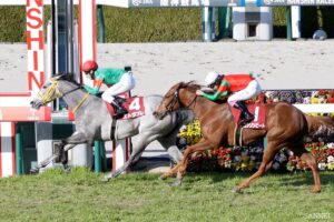 GⅡフィリーズレビュー【過去の結果 – 1980年以降 ｜ 重賞データ 】