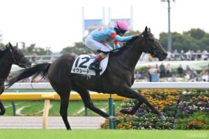 【フラワーC・能力分析】元トラックマンが実績×適性×騎手を数値化！大注目イクシードの得点は…？
