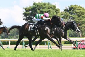 【ダービー卿CT・前走レビュー】有力5頭を10段階採点！前走内容が最も良かったのはどの馬…？