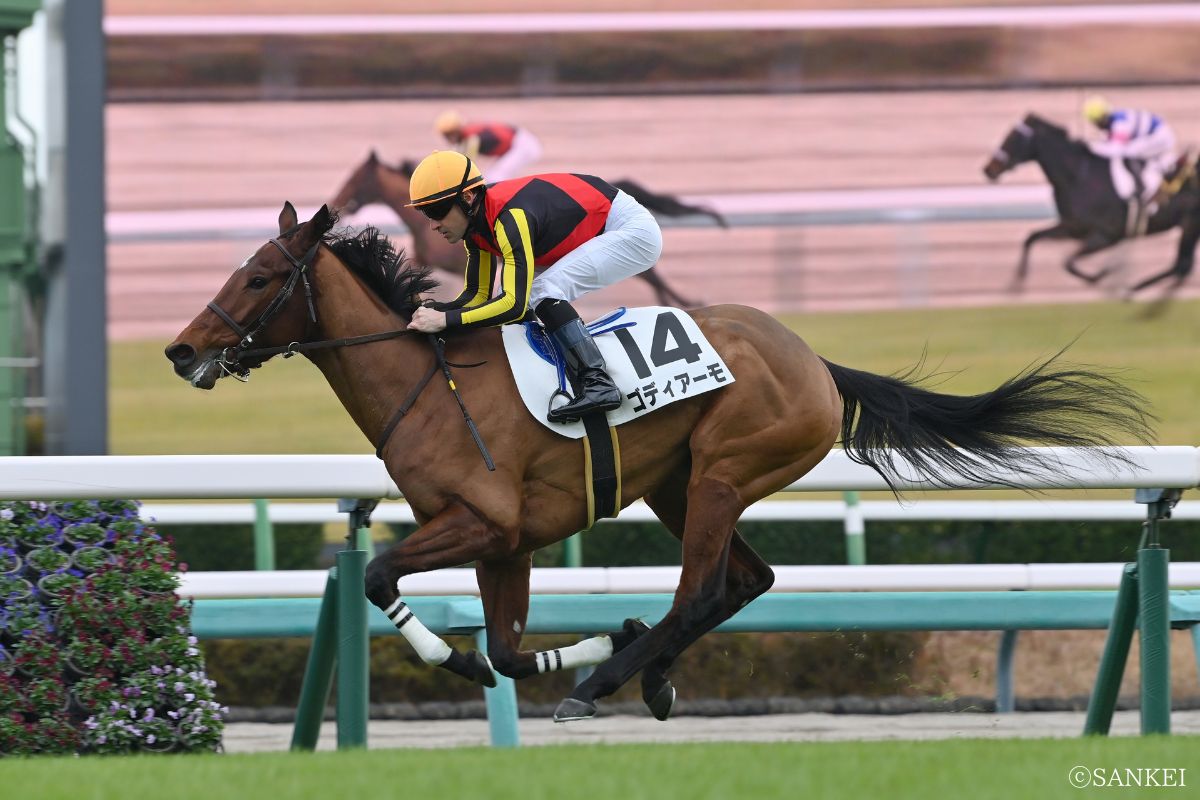 2025年12月6日2歳新馬(中山)/1着ゴディアーモ