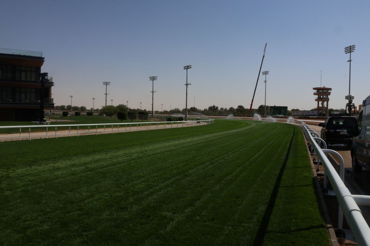 キングアブドゥルアジーズ競馬場内芝コース