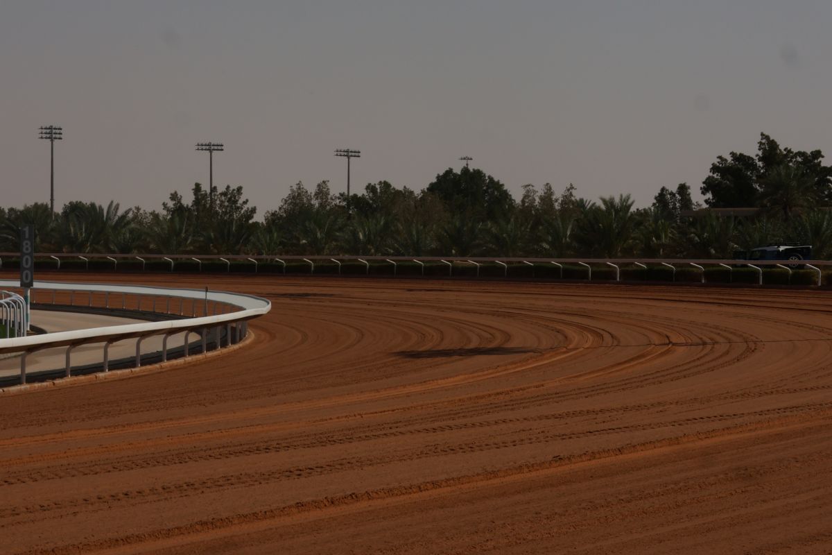 キングアブドゥルアジーズ競馬場内ダートコース
