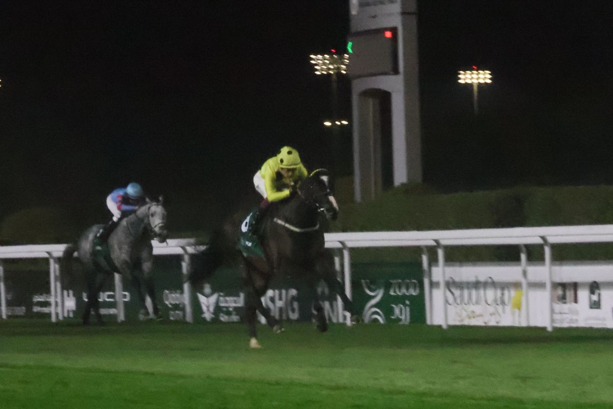 2026年ネオムターフCを制したロイヤルチャンピオン