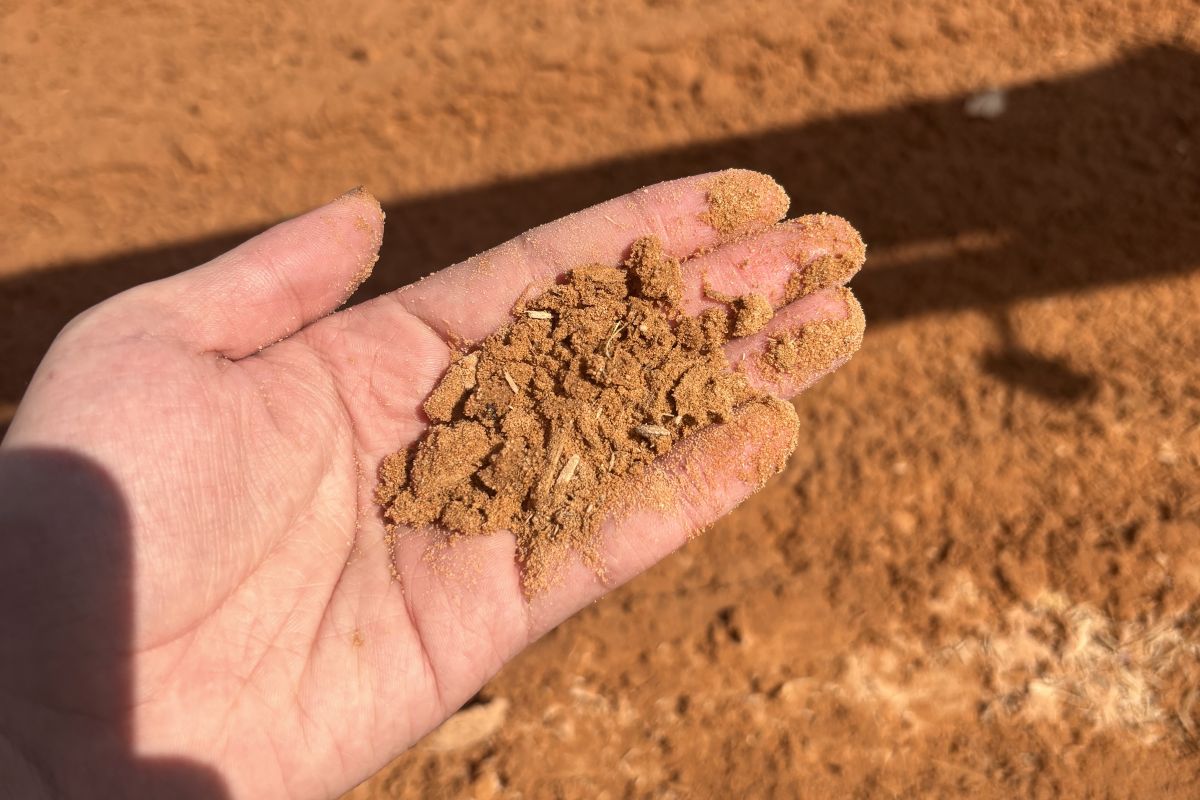 キングアブドゥルアジーズ競馬場、砂