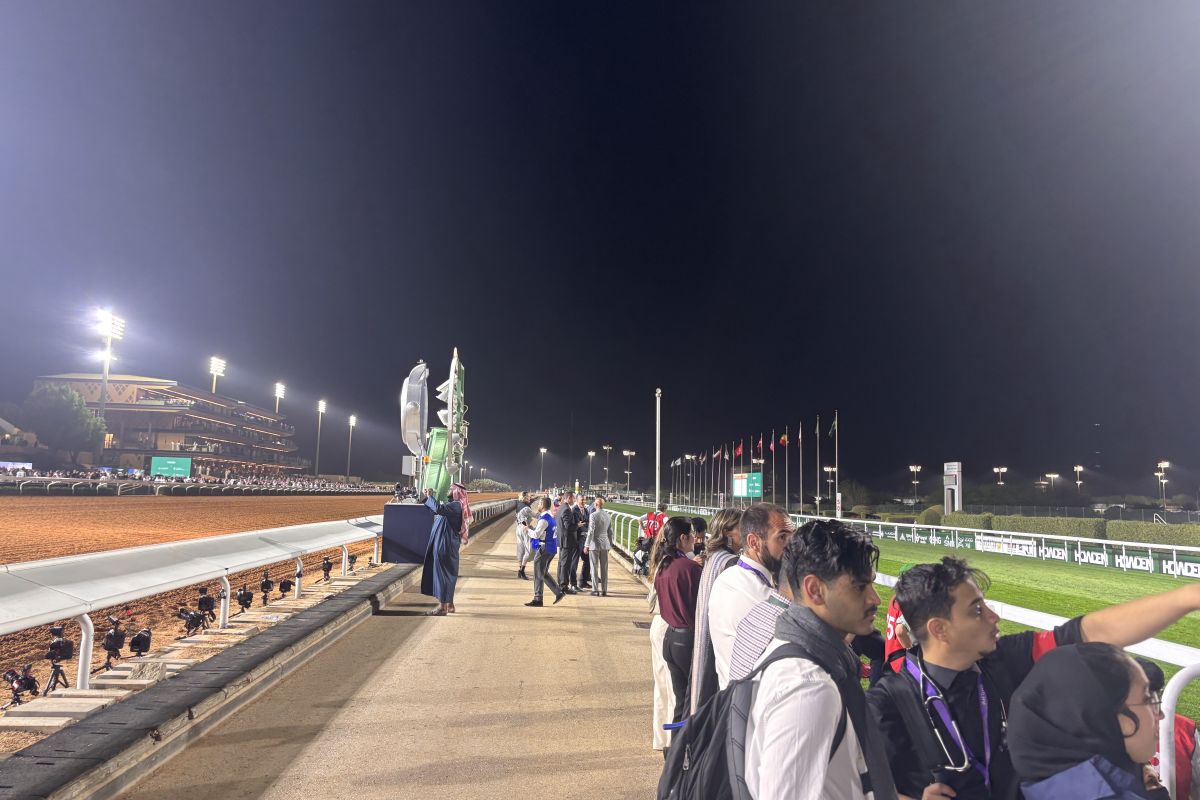 キングアブドゥルアジーズ競馬場、ターフ傍