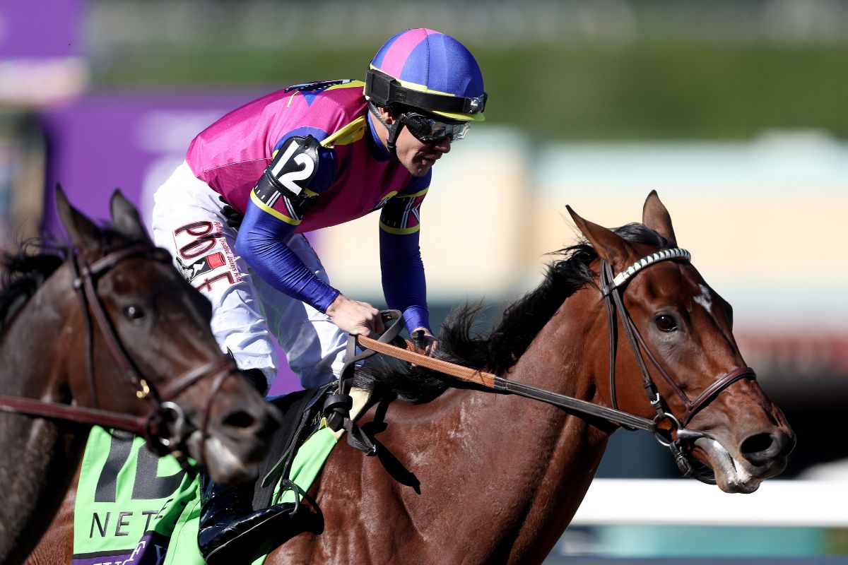 2023年ブリーダーズカップ・ジュヴェナイルフィリーズを制したジャストエフワイアイ(Getty Images)