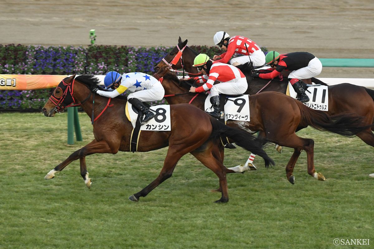 2026年1月17日(中山)4歳以上2勝クラス/1着カンシン