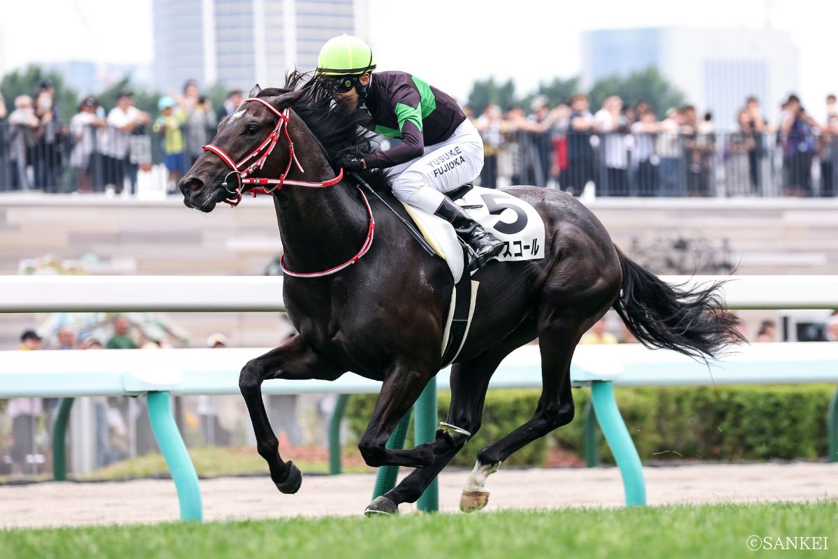 2024年7月21日2歳新馬(札幌)・1着キングスコール