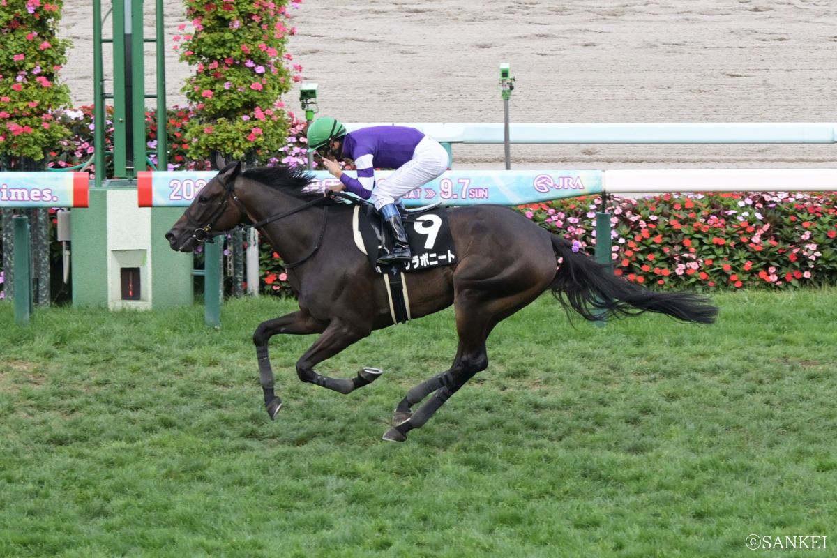 2025年日高Sを制した時のリラボニート