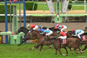 【出馬表】日経賞