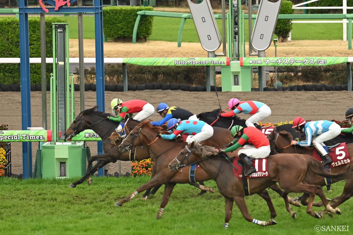 2025年日経賞を制した時のマイネルエンペラー