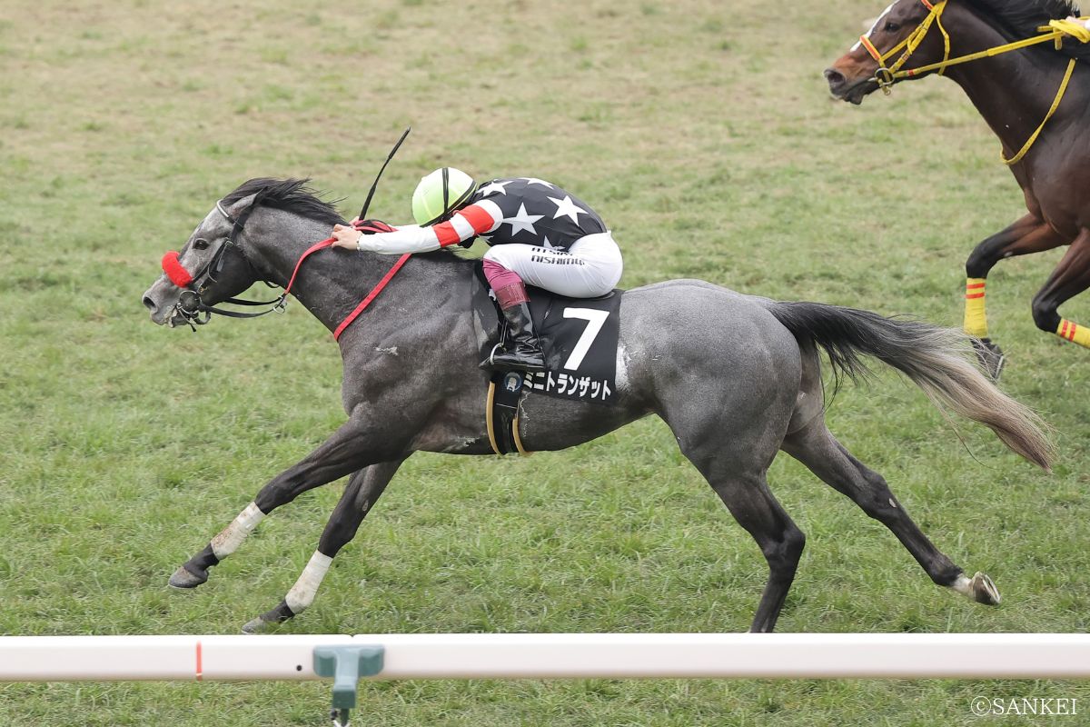 2026年石清水Sを制した時のミニトランザット