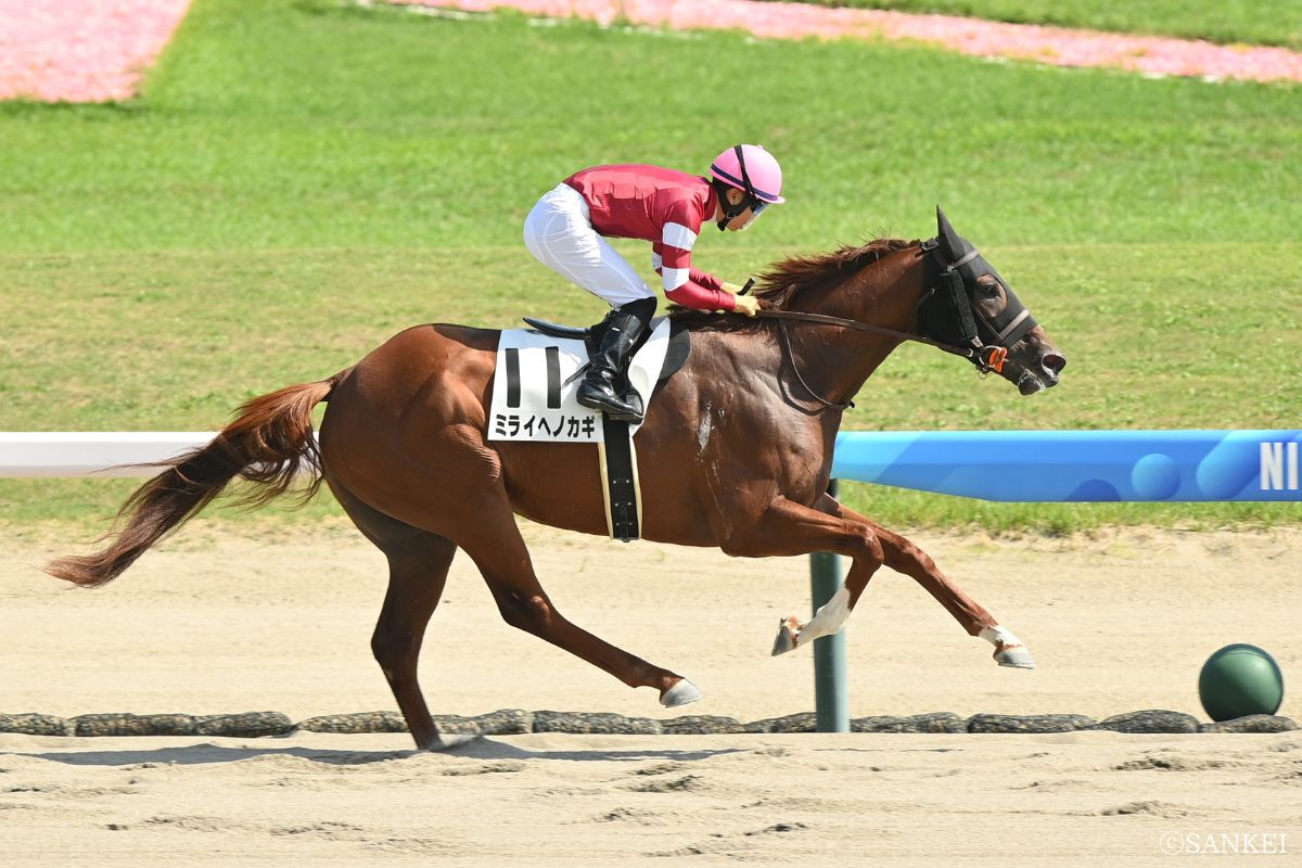 2025年8月23日(新潟)3歳以上1勝クラス/1着ミライヘノカギ