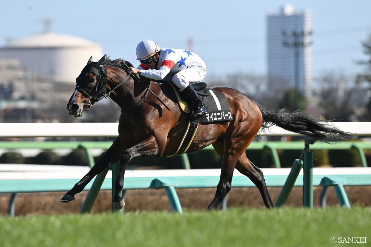 2026年湾岸Sを制した時のマイユニバース