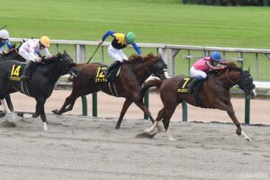 【マーチS・全頭調教診断】出走各馬の評価&わかりやすい解説付き！仕上がり良好なのはどの馬？