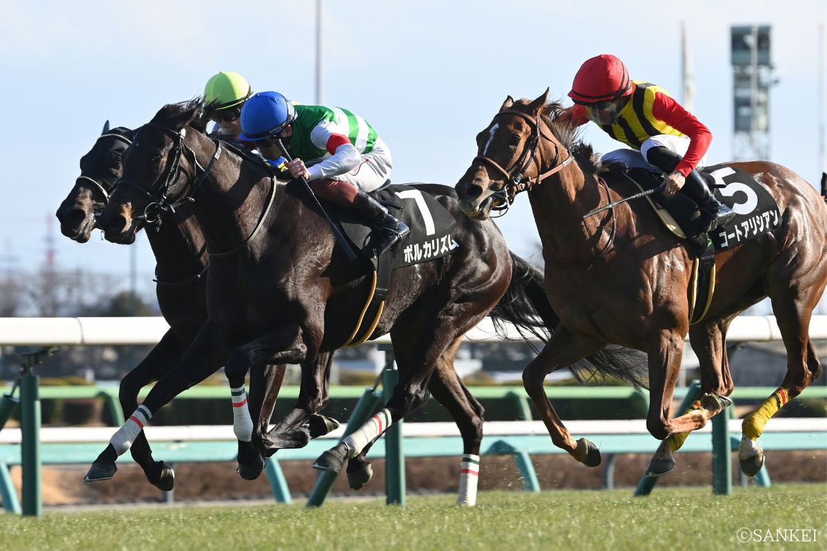 2026年若潮Sを制した時のポルカリズム(青帽)