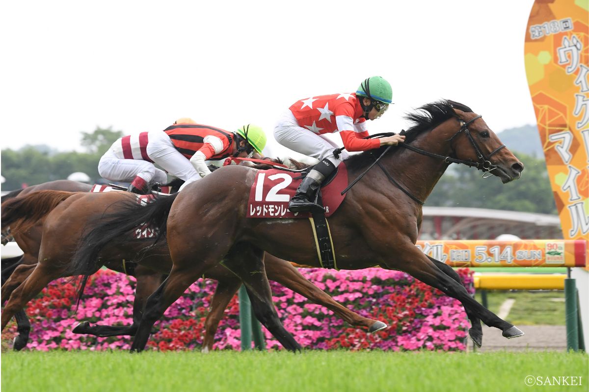 2023年京王杯SCを制した時のレッドモンレーヴ