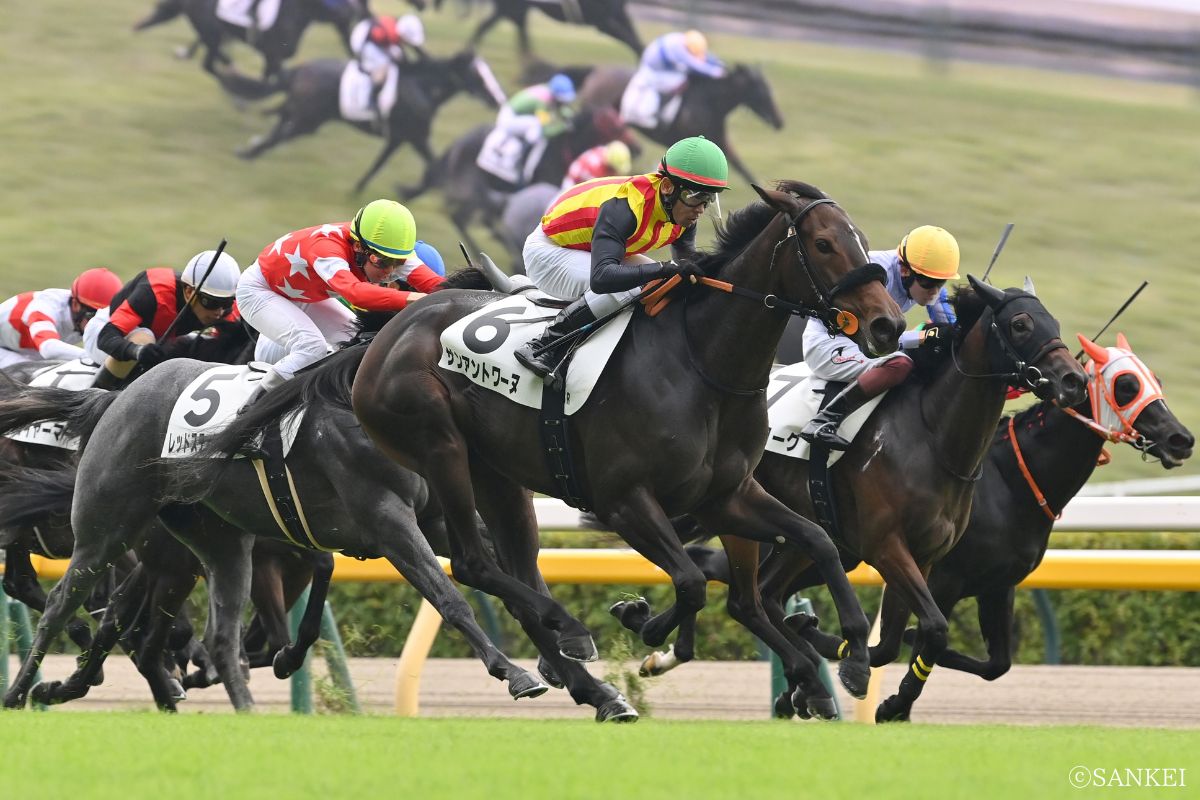 2025/10/19(東京)2歳1勝クラスを制した時のサンアントワーヌ