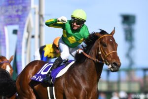 【高松宮記念・全頭調教診断】昨年の覇者サトノレーヴなど全頭解説付き！究極の仕上がりになったのは？