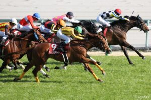 【金鯱賞・敗戦の本質】春のG1戦線を占う重要なヒント！なぜ1番人気クイーンズウォークは敗れたのか？