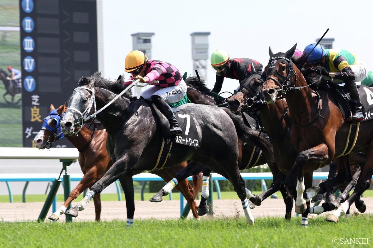 2024年皆生特別を制した時のスマートワイス
