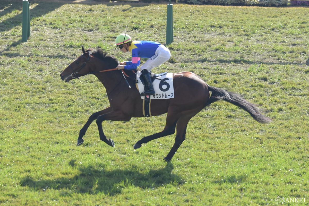 2025年11月30日2歳未勝利(京都)・1着サウンドムーブ