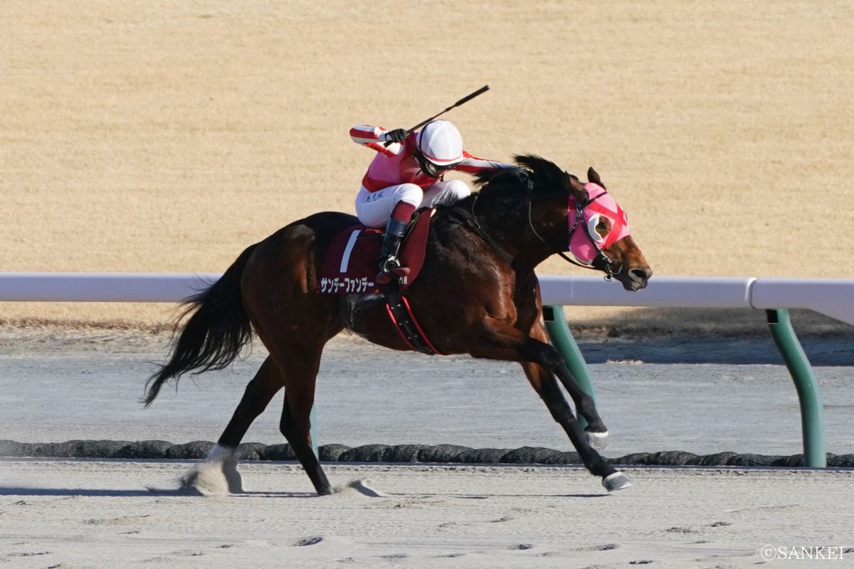 2025年プロキオンSを制した時のサンデーファンデー
