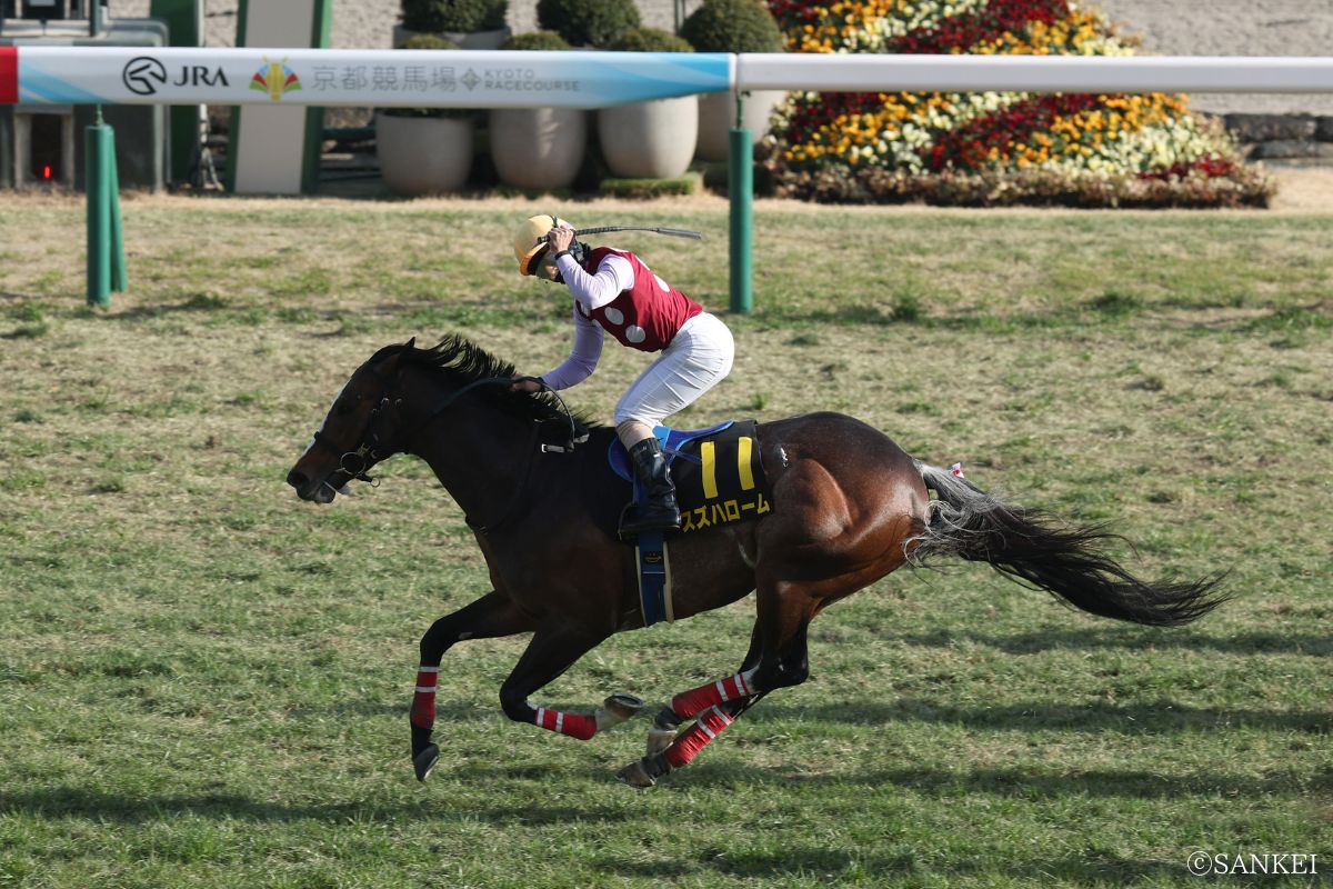 2026年洛陽Sを制した時のスズハローム