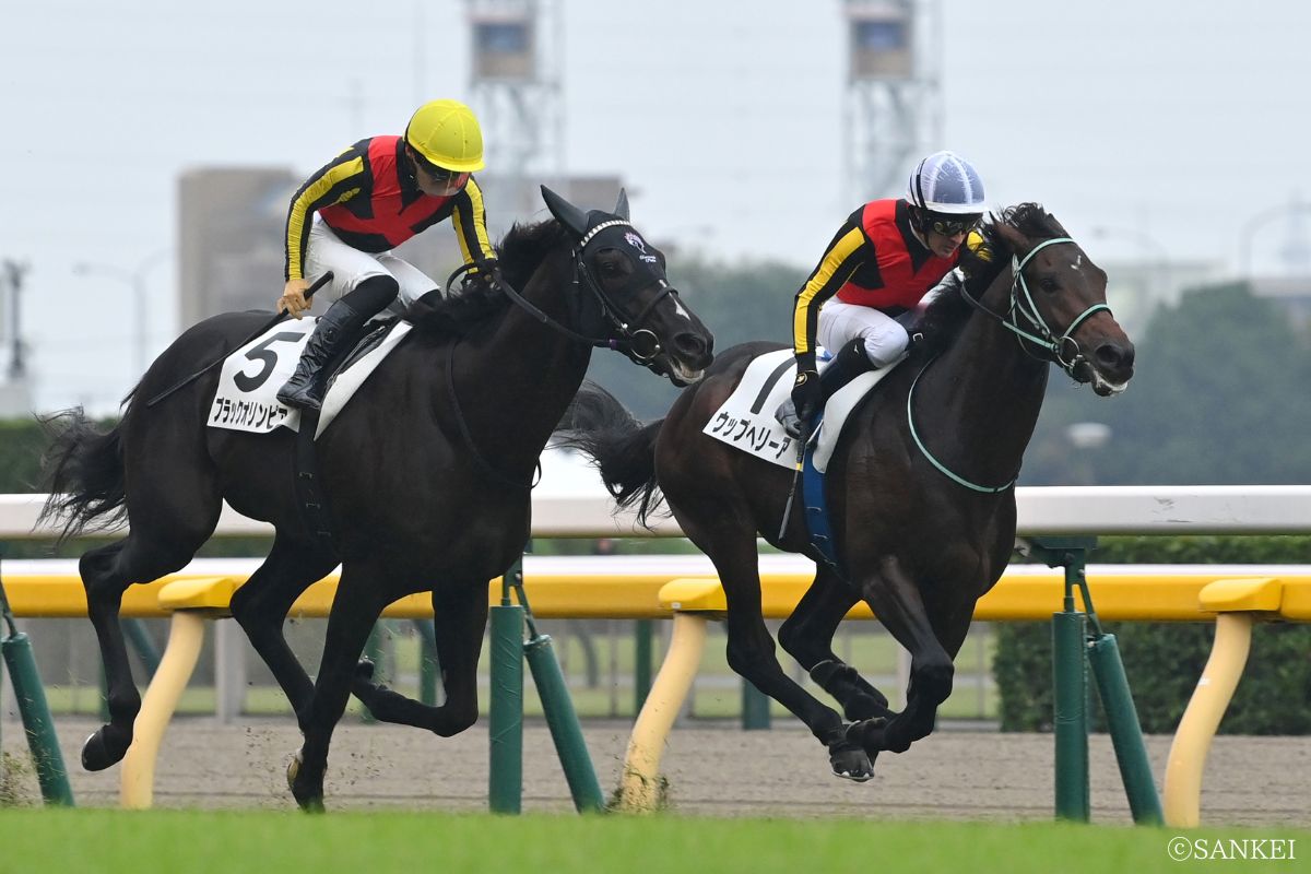 2025年10月25日(2歳新馬)/1着ウップヘリーア(写真右)