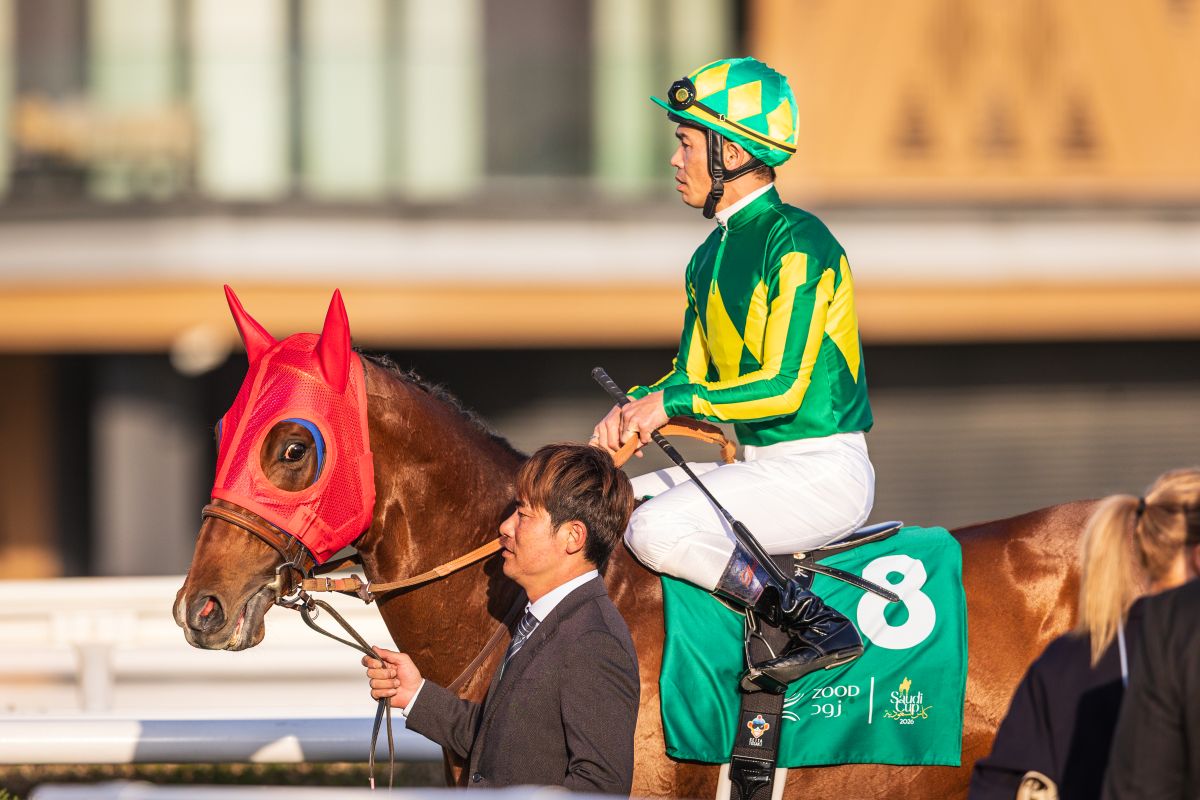 2026年サウジダービーに出走するサトノボヤージュと戸崎圭太騎手