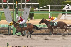 【マーチS・前走レビュー】有力5頭を10段階採点！大混戦の一戦で最高評価を得たのは？