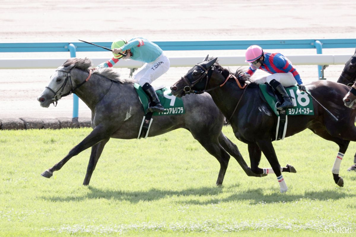 2025年北九州記念を制した時のヤマニンアルリフラ