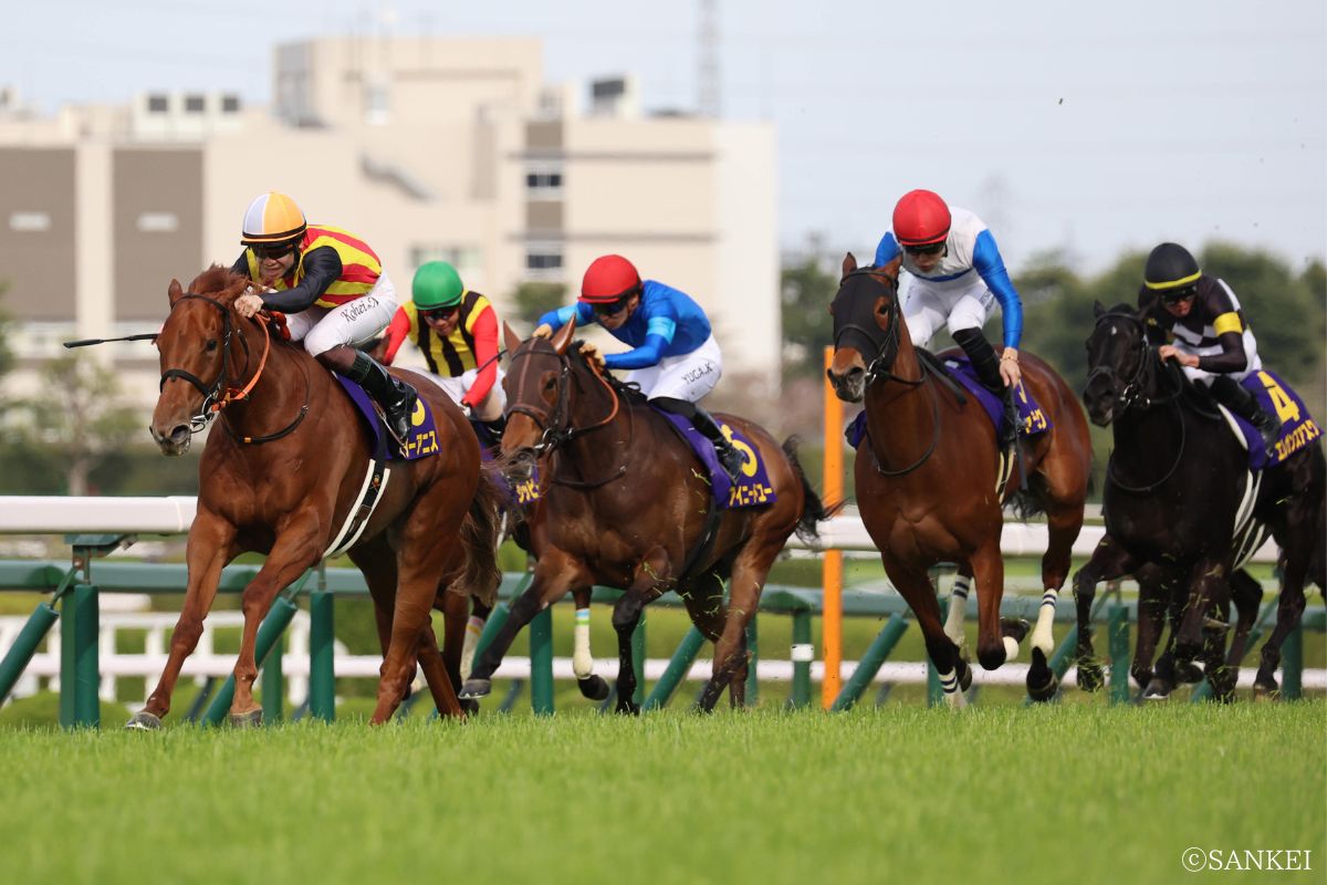 2026年桜花賞/1着スターアニス、2着ギャラボーグ（赤帽・右）、3着ジッピーチューン（緑帽）