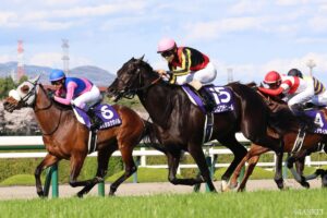 【大阪杯・敗戦の本質】なぜメイショウタバルは敗れたのか？勝ちパターンかと思われたが…