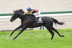 【青葉賞・能力分析】実績×適性×騎手を点数化！2連勝中のブラックオリンピアはポテンシャル最上位か…？
