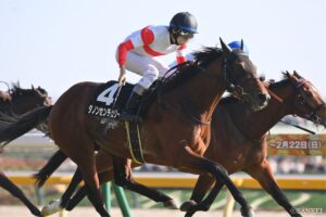 【京王杯SC・能力分析】実績×適性×騎手を点数化！東京で4勝を挙げているダノンセンチュリーの評価は？