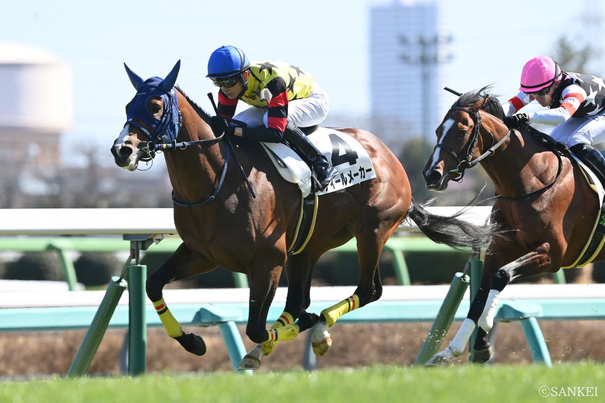 2026年3月8日(中山)3歳1勝クラス/1着ディールメーカー