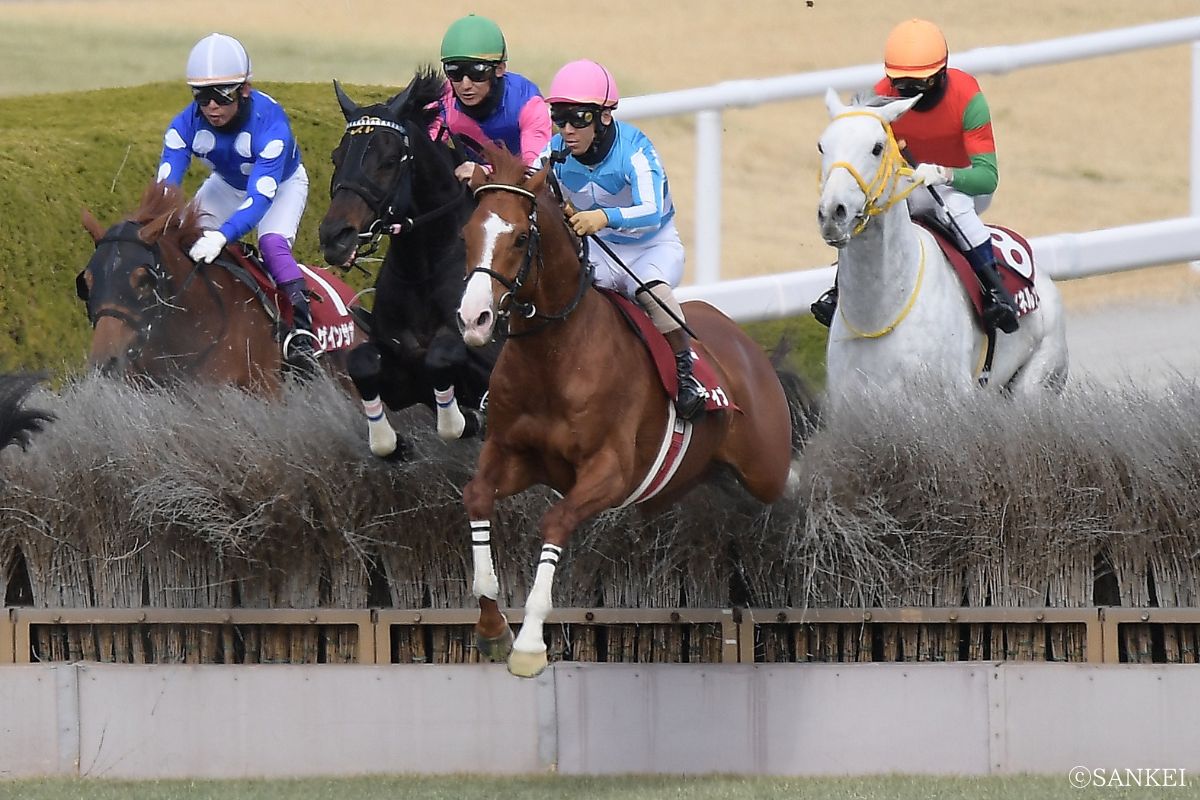 2026年阪神スプリングJを制した時のディナースタ
