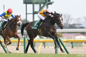 【WIN5研究所】桜花賞の本線は“ルメール”に託す！難易度S級は2レース目…ここをどうにか突破せよ
