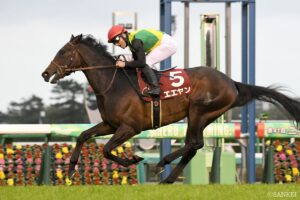 【ダービー卿CT・全頭調教診断】S評価は一頭でもエエヤン？春のマイル王へ前進するのはどの馬か…