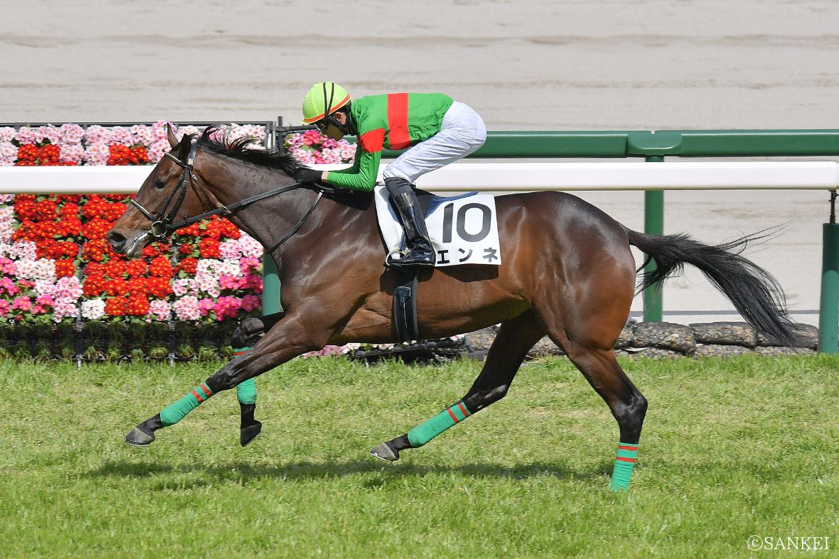 2026年3月14日（阪神）3歳未勝利/1着エンネ