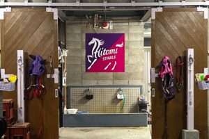 【宮下瞳インタビュー（後編）】“馬ファースト”を掲げて。名古屋で踏み出した調教師としての第一歩