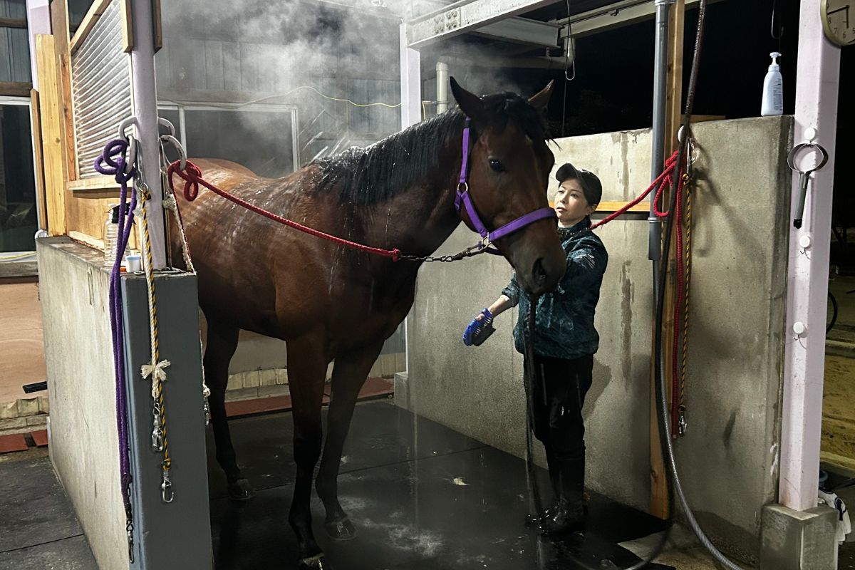 宮下瞳調教師