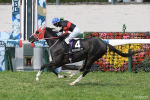 【中山GJ・前走レビュー】有力5頭を10段階採点！前走内容が最も評価できるのは、やはり…