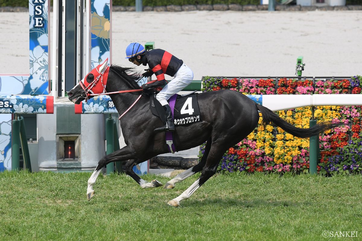 2026年三木ホースランドJSを制した時のホウオウプロサンゲ