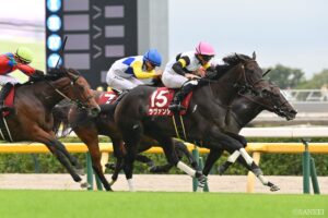 【中京記念2026・全頭追い切り診断】S評価は1頭のみ！素晴らしい調教を見せた注目馬は？