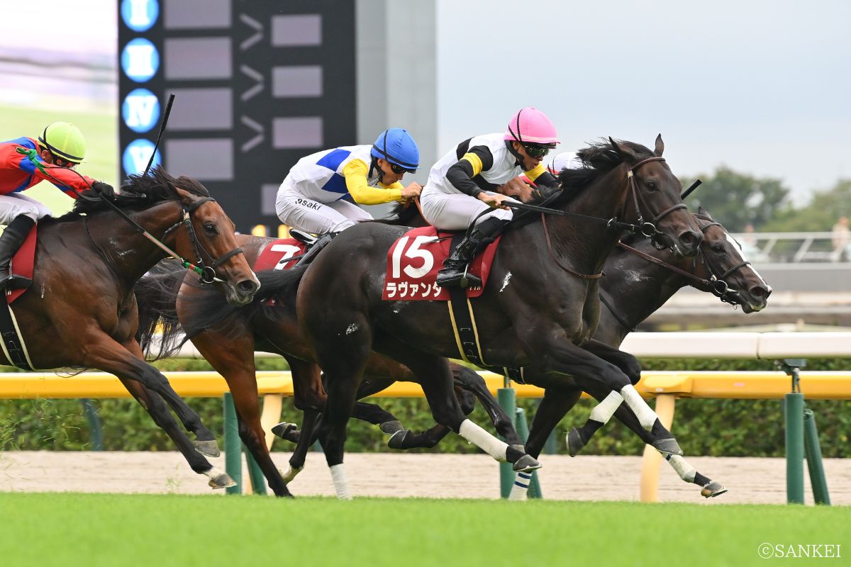 2025年アイルランドトロフィーを制したラヴァンダ