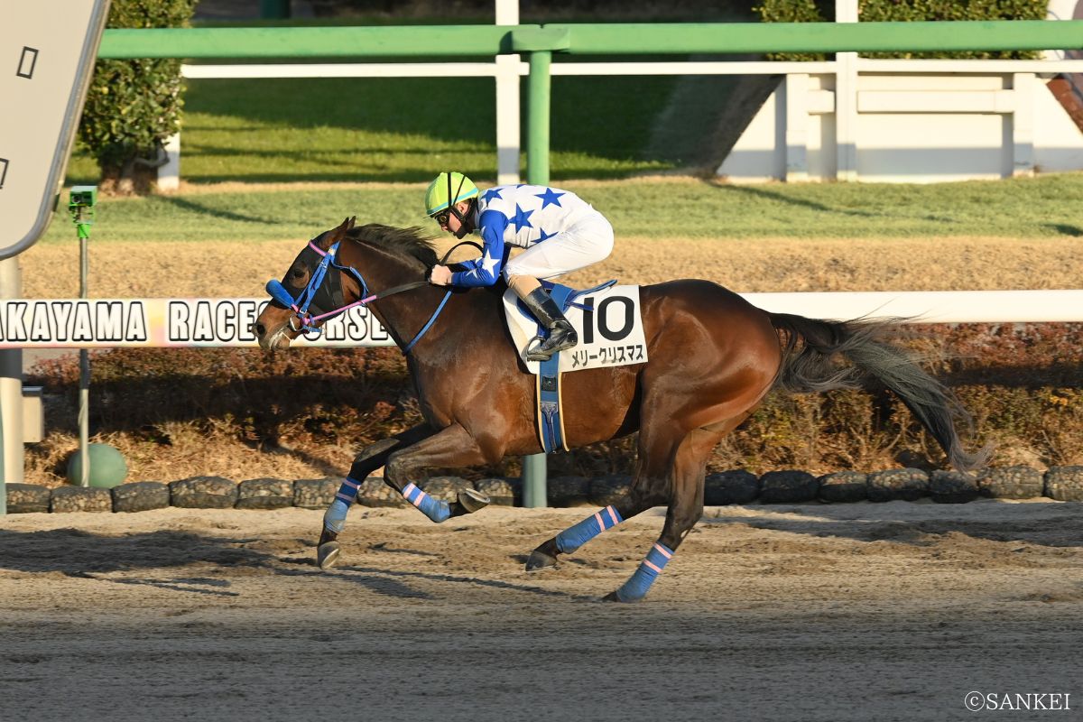 2026/2/28（中山）4歳以上2勝クラスを制した時のメリークリスマス