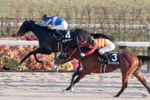 【アンタレスS・全頭調教診断】出走各馬の仕上がりを解説！重賞初制覇を目指すムルソーの評価は？